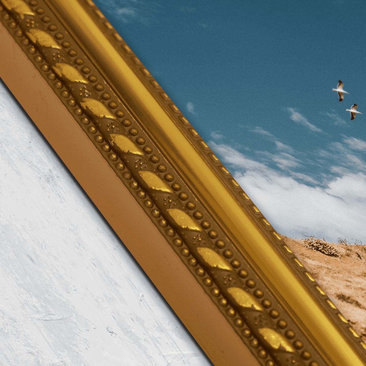 Ornate Gold Rope Frame FW 454 - View 4