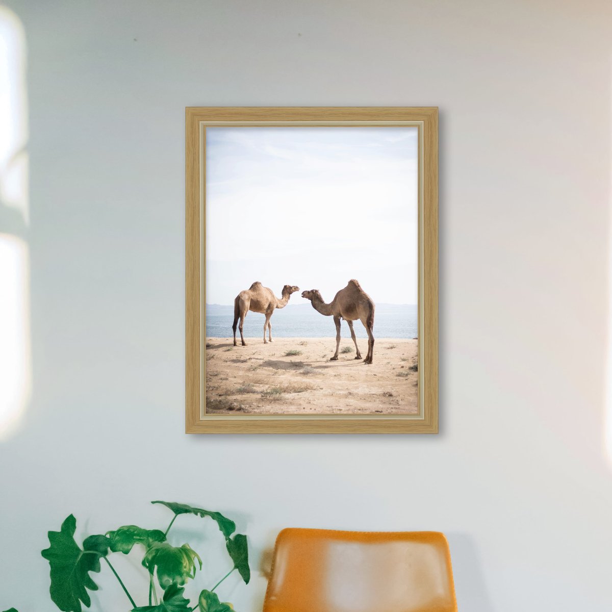Natural Oak Cream Line Frame FW 482 - View 3